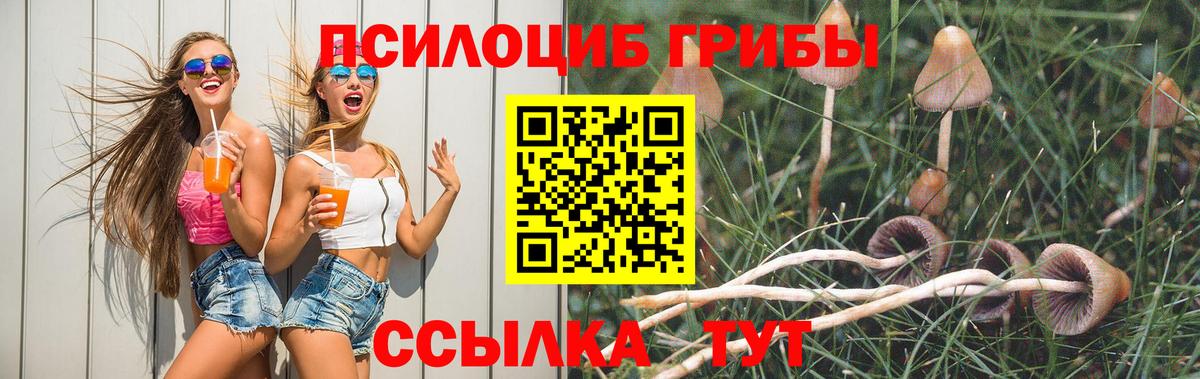 цены наркотик  Галлюциногенные грибы GOLDEN TEACHER  Вход с VPN  Россошь 